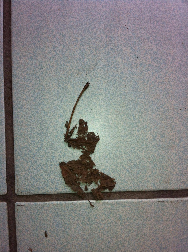 「就是那麼巧！」這24張天衣無縫的巧合，絕對會讓你多看幾眼： 