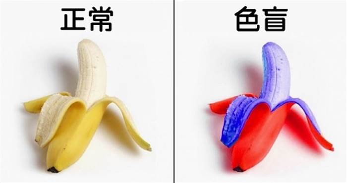 12張圖讓大家徹底理解「普通人VS色盲」的世界，他們眼中的彩虹超特別的