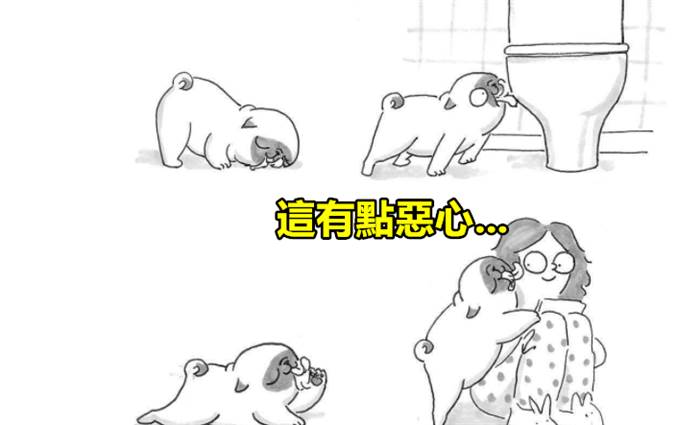 21張「只有狗奴們才看得懂」的超爆笑日常生活情況！