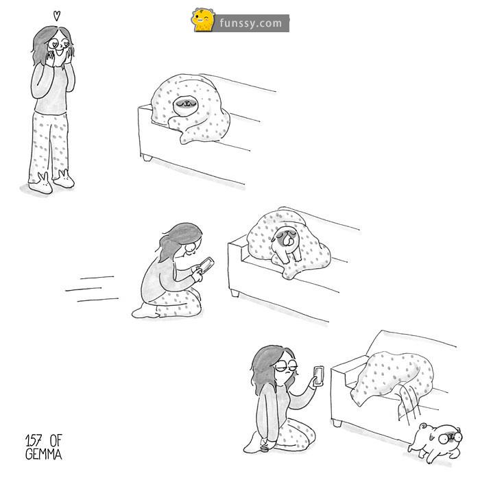 21張「只有狗奴們才看得懂」的超爆笑日常生活情況！