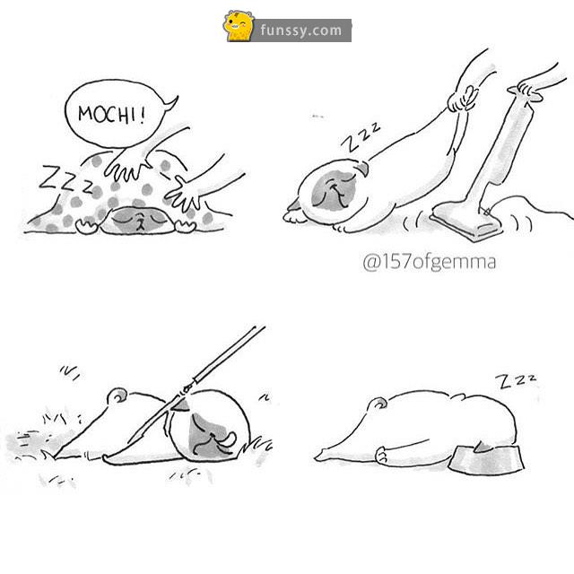 21張「只有狗奴們才看得懂」的超爆笑日常生活情況！