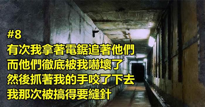 鬼屋的工作人員分享了他們「在工作時經歷過的血淚心酸」，看了後才明白這份工真的一點都不簡單啊！