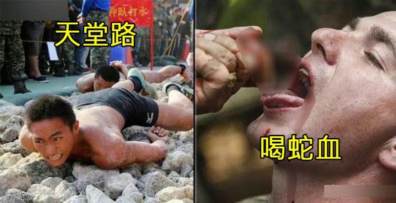 世界上最殘酷痛苦的「7大軍事訓練」！台灣的「天堂路」也上榜！#4 竟然要「朝著隊友身上開槍」！ 