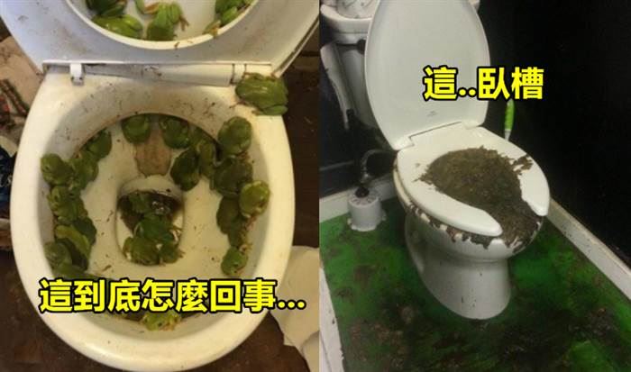 18張會讓你「絕對不敢用的超惡馬桶」！#15 真的太糟糕了...