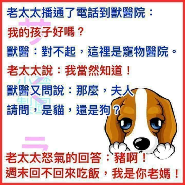 讓人噴飯的10個超級笑話，不得不看！！！
