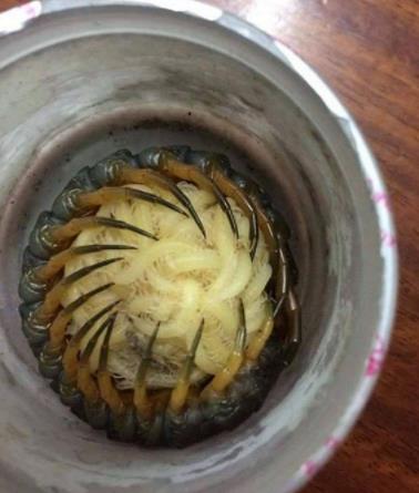 8張「只要惹到大自然絕對沒好事」極不安驚悚照片#6這是人投胎成魚嗎...