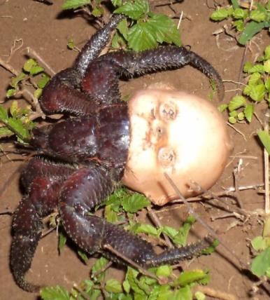 8張「只要惹到大自然絕對沒好事」極不安驚悚照片#6這是人投胎成魚嗎...