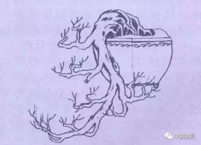 懸崖式盆景的樹形設計及製作 
