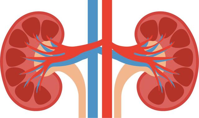 這種水果，竟可能是「腎臟殺手」！