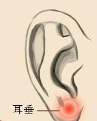 身體上的疾病，每天這樣揉揉耳朵就能緩解！建議收藏
