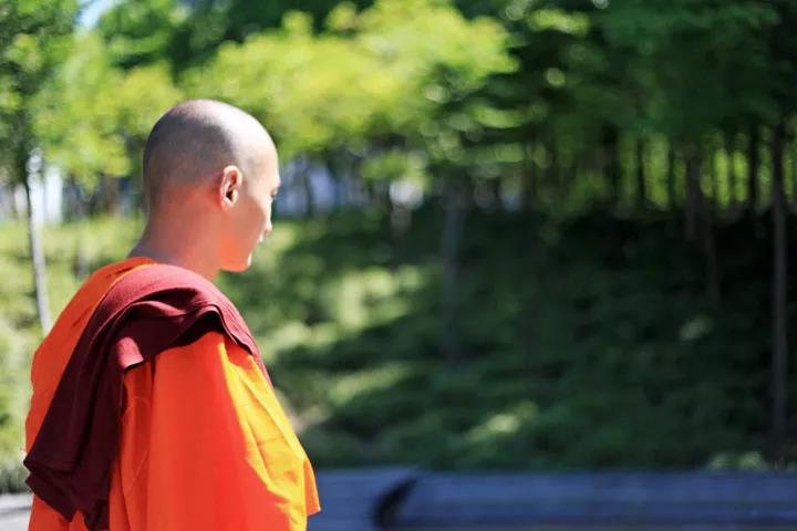 素食者能不能吃雞蛋和牛奶？——索達吉堪布8條學佛常見問答