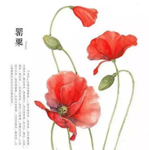 佛說：順其自然是最好的活法