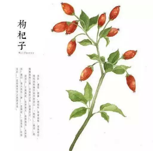 佛說：順其自然是最好的活法