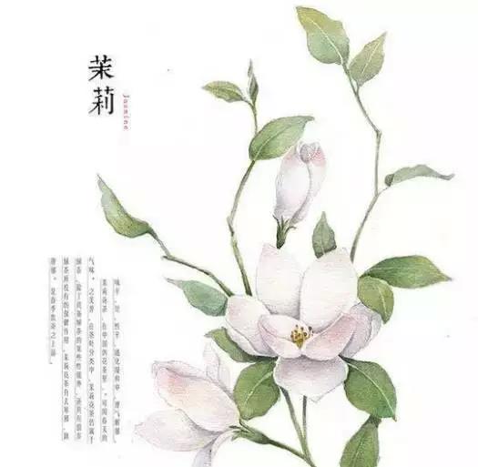 佛說：順其自然是最好的活法