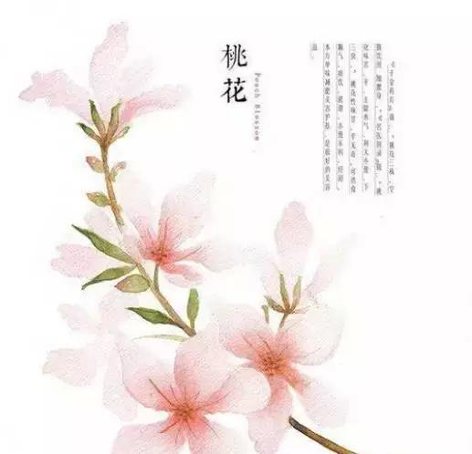 佛說：順其自然是最好的活法