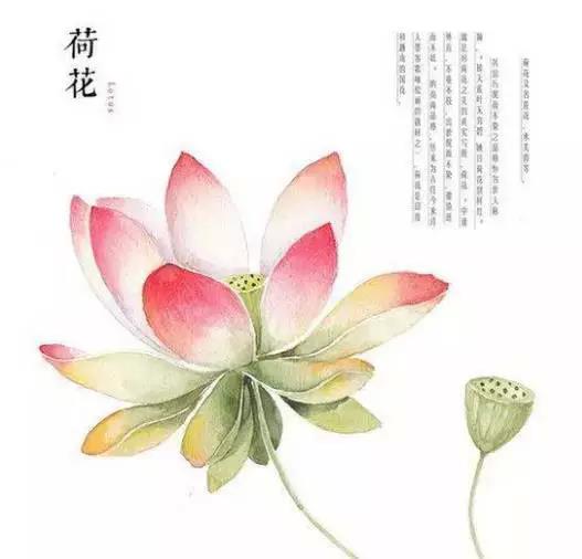 佛說：順其自然是最好的活法