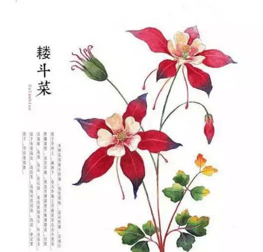 佛說：順其自然是最好的活法