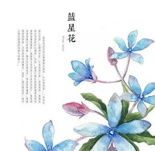 佛說：順其自然是最好的活法