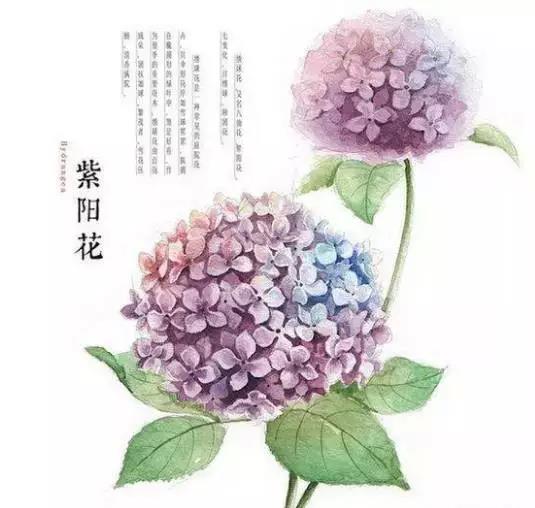 佛說：順其自然是最好的活法