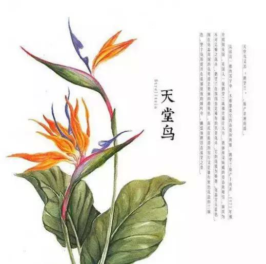 佛說：順其自然是最好的活法