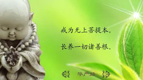這樣子學佛，越學越往地獄跑！