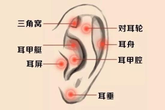 每天按耳朵的效果，居然能媲美刮痧、艾灸？耳部按摩手法學起來！
