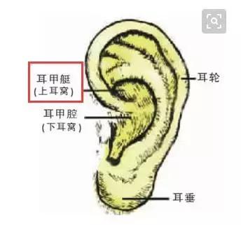 每天按耳朵的效果，居然能媲美刮痧、艾灸？耳部按摩手法學起來！