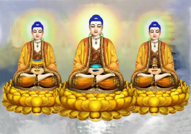 丁嘉麗老師：不生病，改命運，念佛人好好看看！