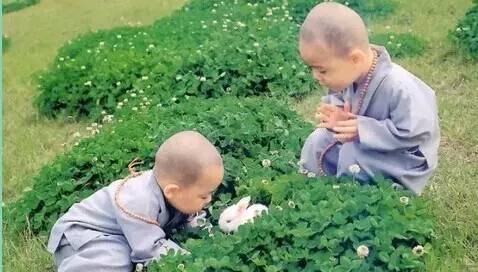 這五種人前世是畜生投胎，遇到請馬上遠離！