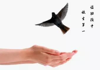 放走殺業，放走淫業，放走壞運氣！