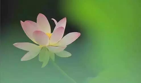 清淨說：長相年輕的人，一定是個福星。
