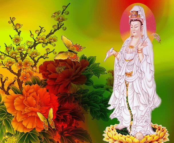淨空老法師：是否可向觀世音菩薩祈求姻緣？