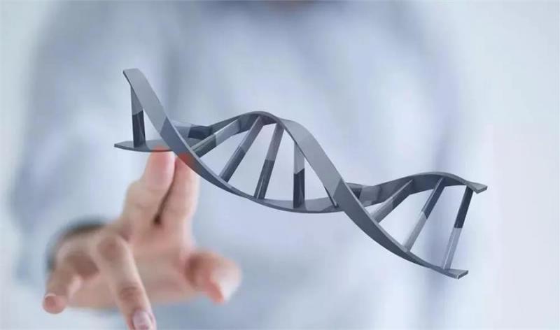 人投胎的詳細過程——索達吉堪布揭示「輪回密碼」