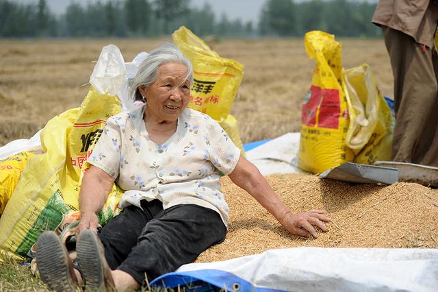 60歲岳母趕來照看孩子，加班回家她做三碗面，我吃得熱淚盈眶