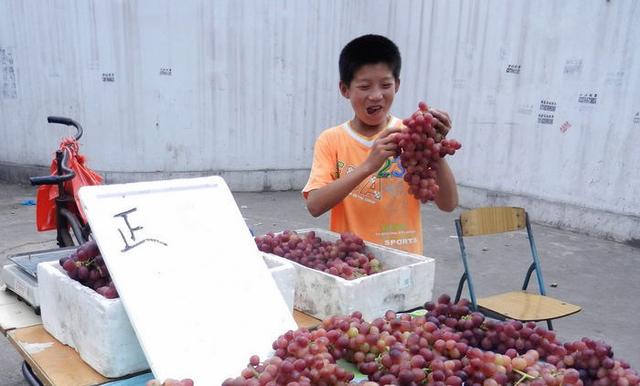 老農葡萄賣不出，小孫子一個無意舉動，沒想到瞬間生意爆滿