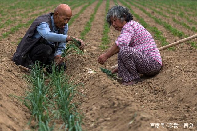問哥借錢買房要利息，三年我還五萬本息，嫂子拿出借條我淚如雨下