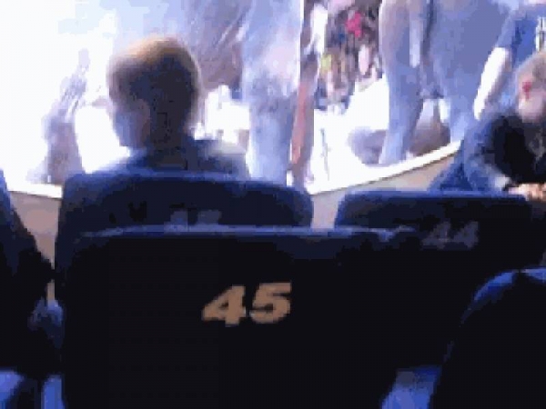 馬戲團大象表演不慎「從高處摔落」同伴看到後的舉動，讓網友哭說：不要在殘害它們了！