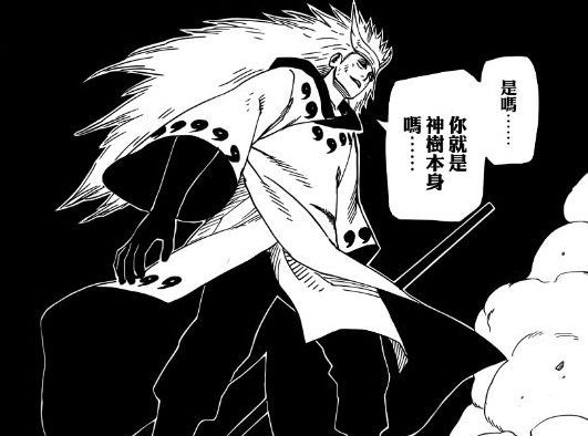 誰認識岸本齊史？幫我告訴他《火影忍者》中這些坑都還沒填！