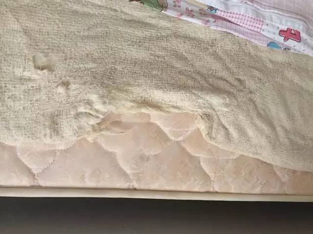 主人操刀追殺撕家後的金毛，那貨委屈的快哭了……