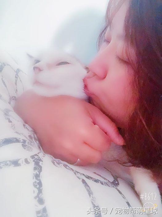  最後的告別，22歲老貓臨終前流淚：媽媽，我捨不得……