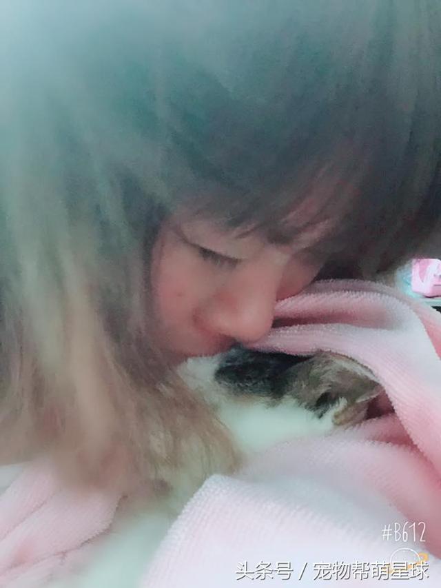  最後的告別，22歲老貓臨終前流淚：媽媽，我捨不得……