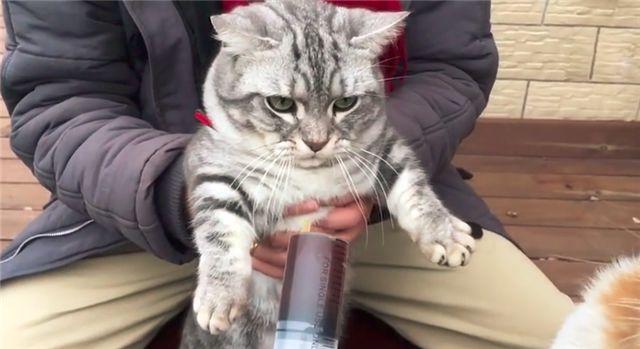 「到嘴的零食」被狗舔了！主子氣得「猛拍它的頭」：吃了全給我吐出來...