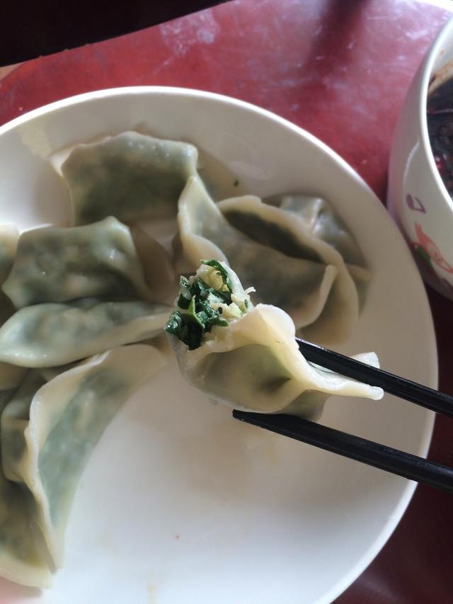 原來韭菜有這麼多做法，簡單好做，成本幾塊錢，每次都光碟