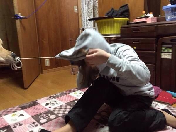 女兒和金毛互相吃醋，突然房內傳來女兒求救聲，老爸走進去笑噴了