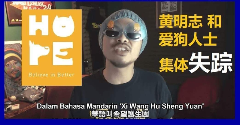 砂州美里813流浪狗遭人道毀滅 愛心大使黃明志！FB愛狗的愛狗人士們，你在哪裡？ 