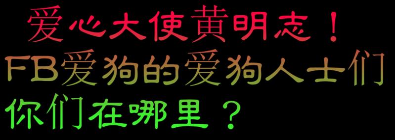 砂州美里813流浪狗遭人道毀滅 愛心大使黃明志！FB愛狗的愛狗人士們，你在哪裡？ 