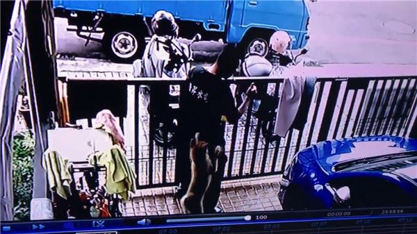 背後遭撞擊！他兇狠回頭想算帳卻發現愛犬討抱抱　秒抱起拍背：乖喔