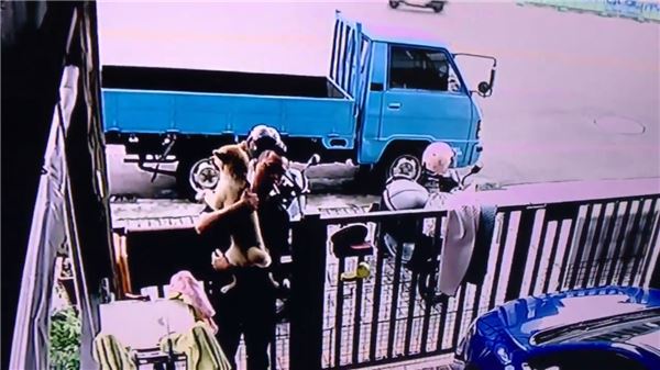 背後遭撞擊！他兇狠回頭想算帳卻發現愛犬討抱抱　秒抱起拍背：乖喔