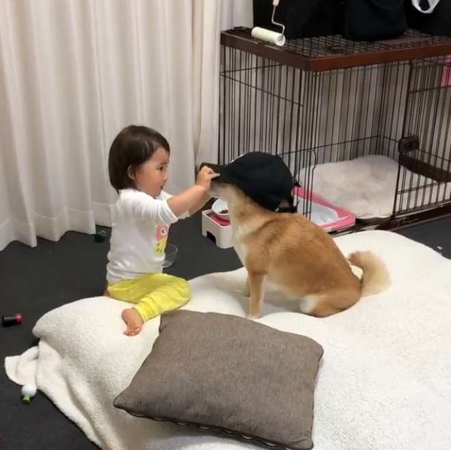 背後遭撞擊！他兇狠回頭想算帳卻發現愛犬討抱抱　秒抱起拍背：乖喔