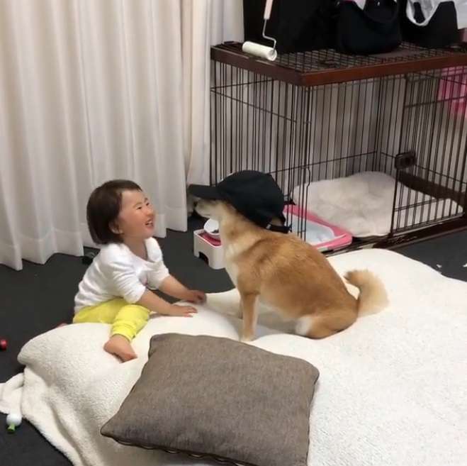 背後遭撞擊！他兇狠回頭想算帳卻發現愛犬討抱抱　秒抱起拍背：乖喔